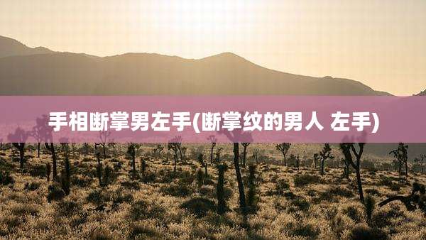 手相断掌男左手(断掌纹的男人 左手)