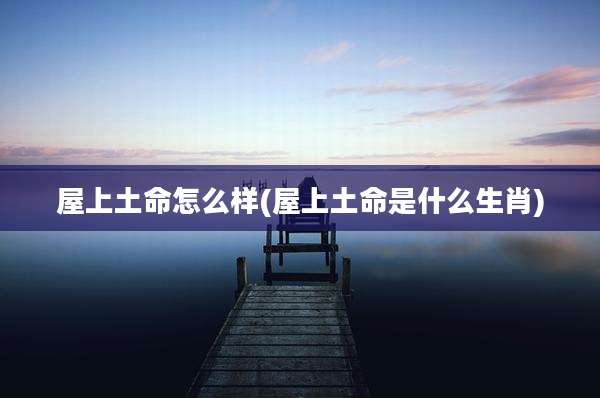 屋上土命怎么样(屋上土命是什么生肖)