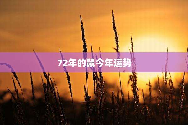 72年的鼠今年运势