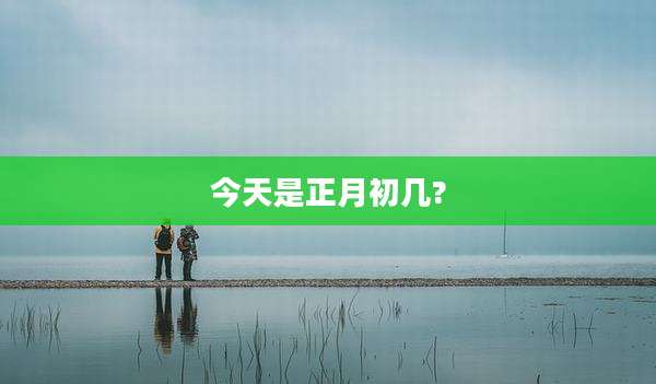 今天是正月初几?
