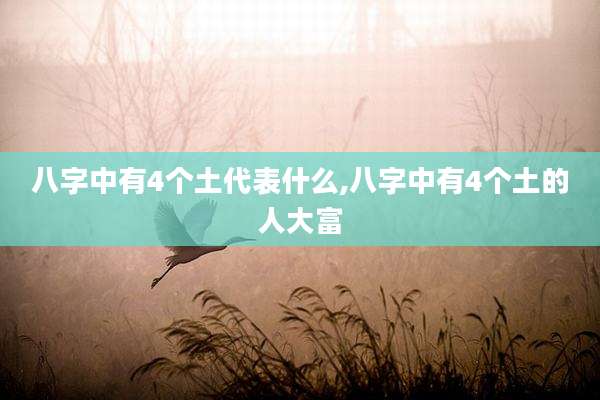八字中有4个土代表什么,八字中有4个土的人大富