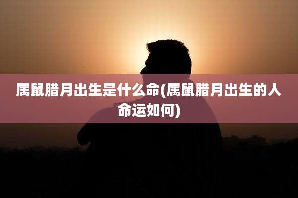 属鼠腊月出生是什么命(属鼠腊月出生的人命运如何)