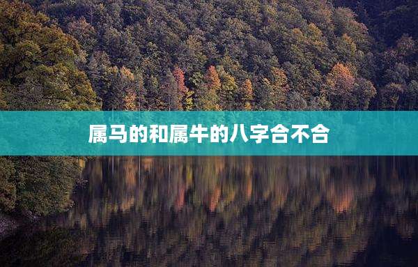 属马的和属牛的八字合不合