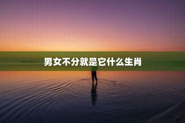 男女不分就是它什么生肖