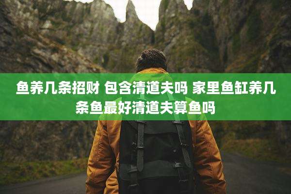 鱼养几条招财 包含清道夫吗 家里鱼缸养几条鱼最好清道夫算鱼吗