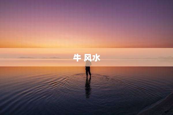 牛 风水