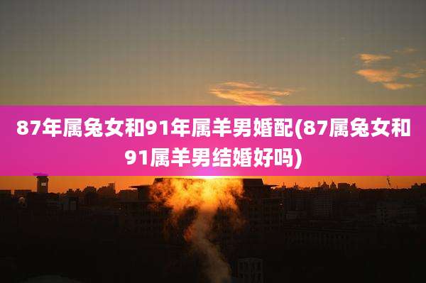 87年属兔女和91年属羊男婚配(87属兔女和91属羊男结婚好吗)