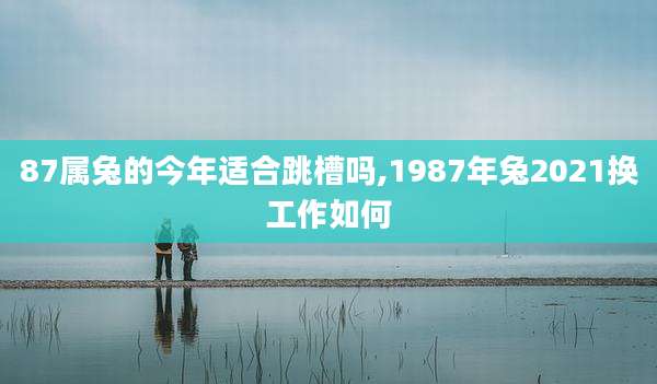 87属兔的今年适合跳槽吗,1987年兔2021换工作如何