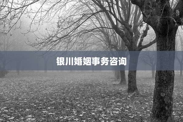 银川婚姻事务咨询