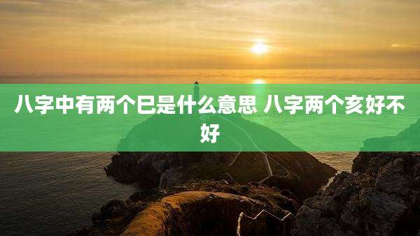 八字中有两个巳是什么意思 八字两个亥好不好
