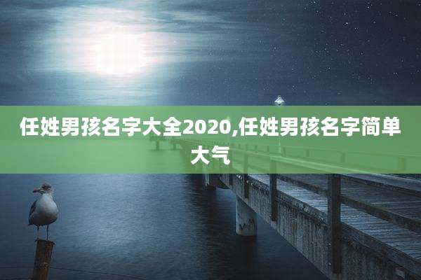 任姓男孩名字大全2020,任姓男孩名字简单大气