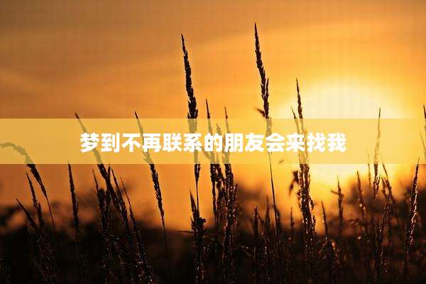 梦到不再联系的朋友会来找我