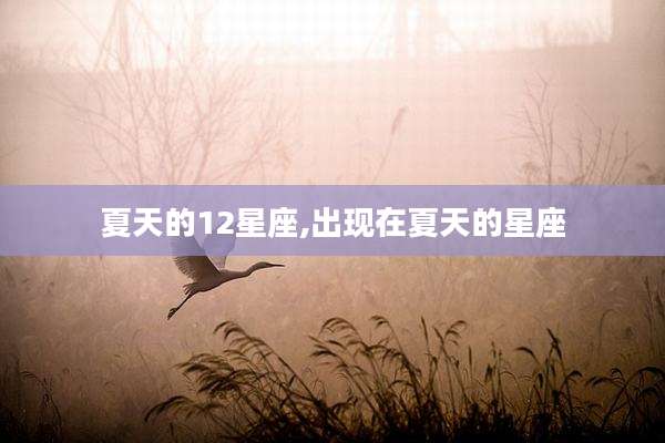 夏天的12星座,出现在夏天的星座