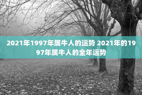 2021年1997年属牛人的运势 2021年的1997年属牛人的全年运势