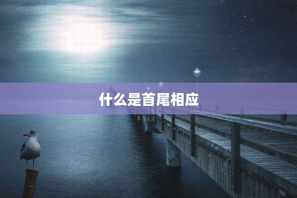 什么是首尾相应