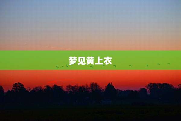 梦见黄上衣