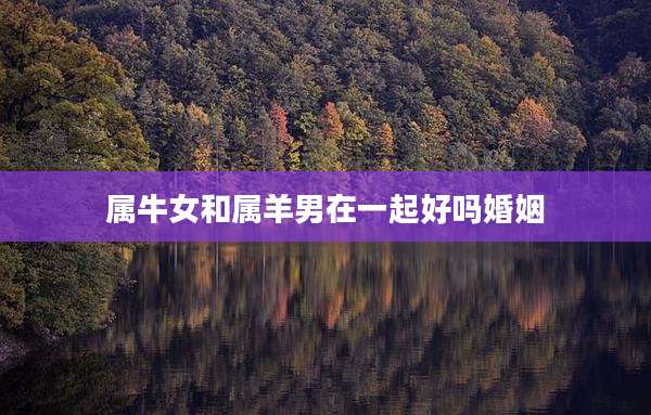 属牛女和属羊男在一起好吗婚姻