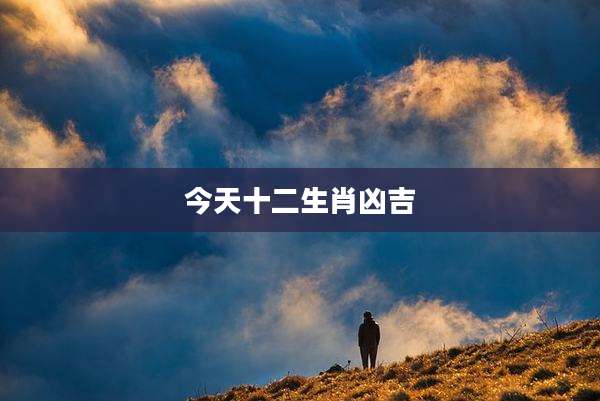 今天十二生肖凶吉