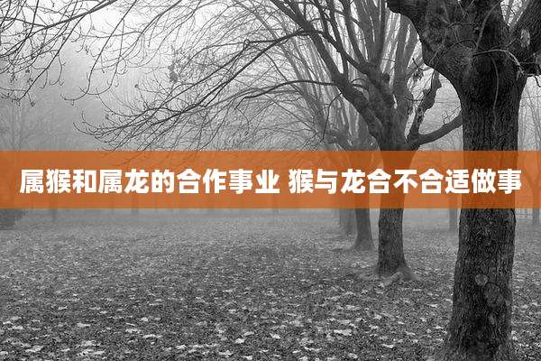 属猴和属龙的合作事业 猴与龙合不合适做事