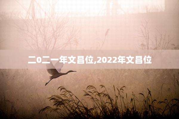 二0二一年文昌位,2022年文昌位
