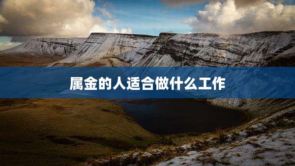 属金的人适合做什么工作