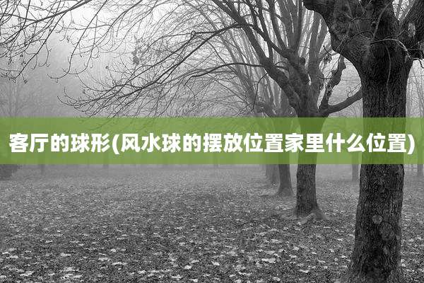 客厅的球形(风水球的摆放位置家里什么位置)