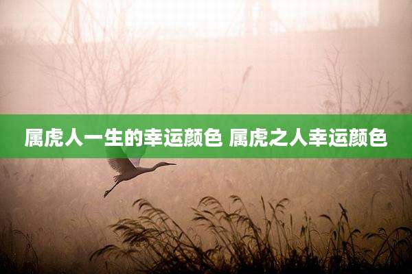 属虎人一生的幸运颜色 属虎之人幸运颜色
