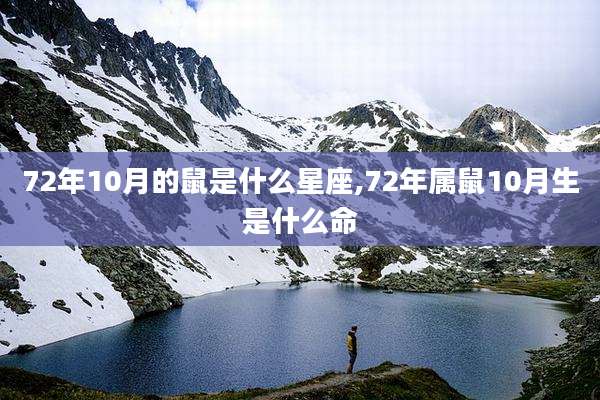 72年10月的鼠是什么星座,72年属鼠10月生是什么命