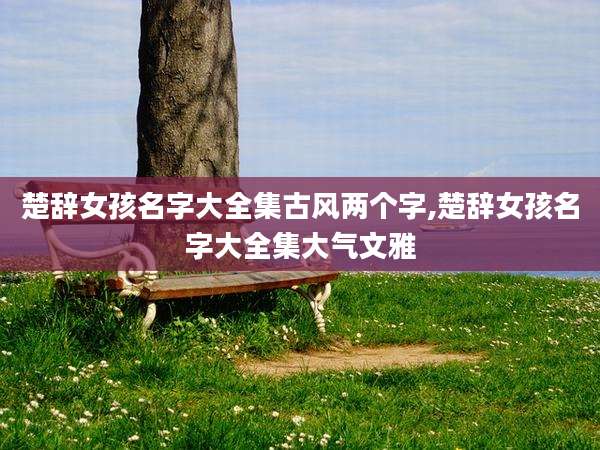 楚辞女孩名字大全集古风两个字,楚辞女孩名字大全集大气文雅