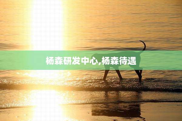 杨森研发中心,杨森待遇