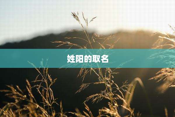 姓阳的取名