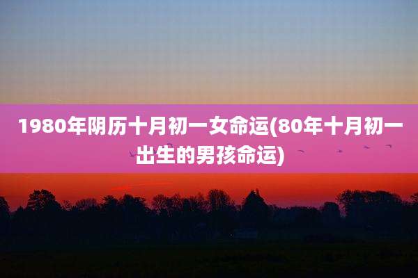1980年阴历十月初一女命运(80年十月初一出生的男孩命运)