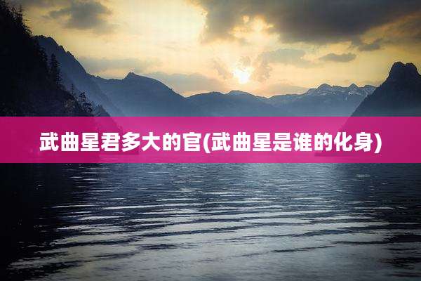 武曲星君多大的官(武曲星是谁的化身)