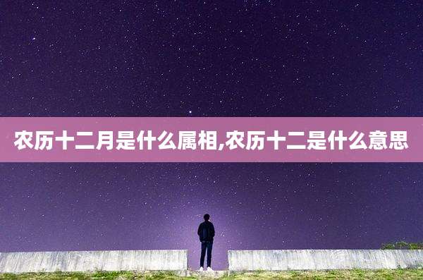 农历十二月是什么属相,农历十二是什么意思