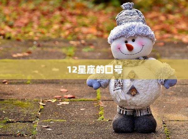 12星座的囗号