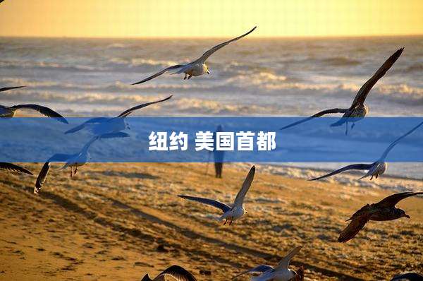 纽约 美国首都