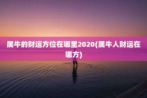 属牛的财运方位在哪里2020(属牛人财运在哪方)