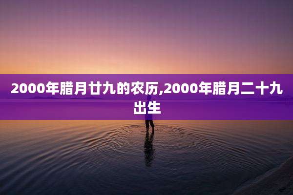 2000年腊月廿九的农历,2000年腊月二十九出生