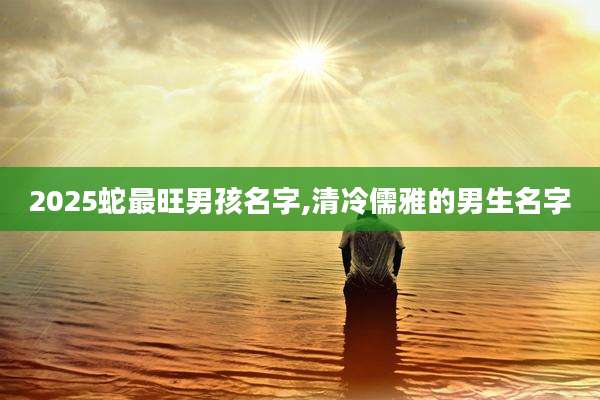 2025蛇最旺男孩名字,清冷儒雅的男生名字