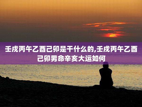 壬戌丙午乙酉己卯是干什么的,壬戌丙午乙酉己卯男命辛亥大运如何