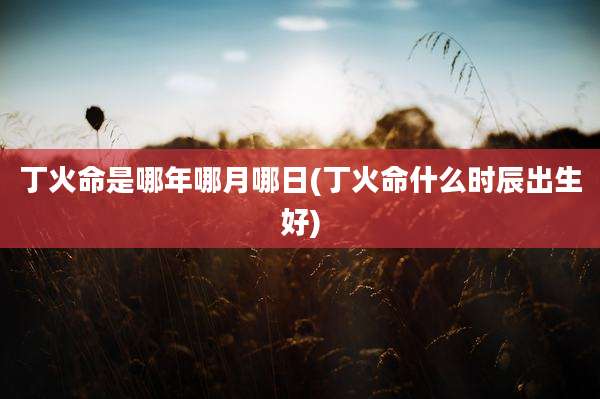 丁火命是哪年哪月哪日(丁火命什么时辰出生好)