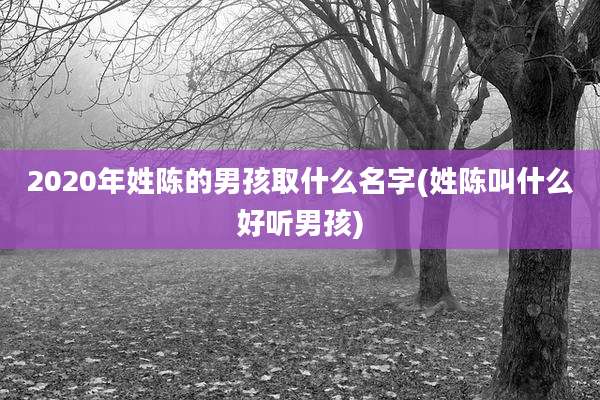 2020年姓陈的男孩取什么名字(姓陈叫什么好听男孩)