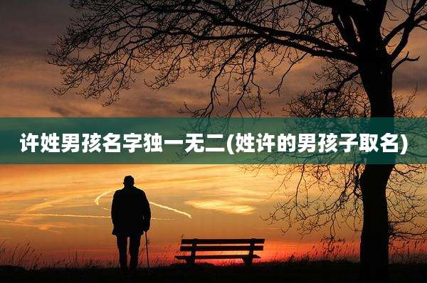 许姓男孩名字独一无二(姓许的男孩子取名)