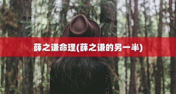 薛之谦命理(薛之谦的另一半)