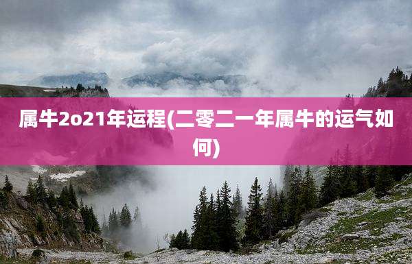 属牛2o21年运程(二零二一年属牛的运气如何)