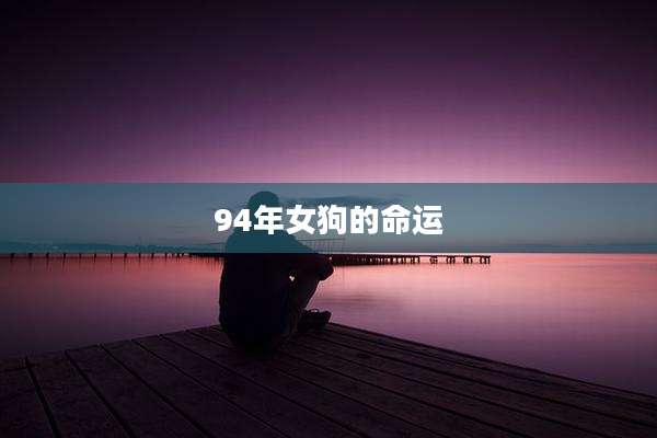 94年女狗的命运