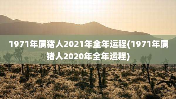 1971年属猪人2021年全年运程(1971年属猪人2020年全年运程)