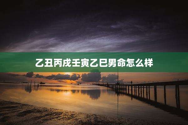 乙丑丙戌壬寅乙巳男命怎么样