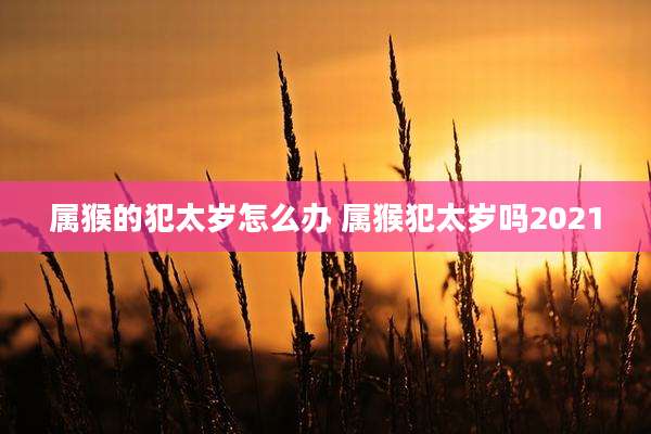 属猴的犯太岁怎么办 属猴犯太岁吗2021