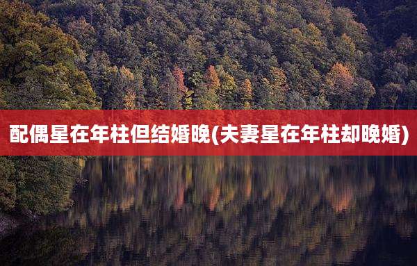 配偶星在年柱但结婚晚(夫妻星在年柱却晚婚)